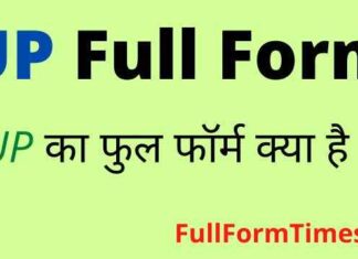 UP Full Form in Hindi and English – यूपी का फुल फॉर्म क्या होता है ? UP Full Form in Hindi and English - यूपी का फुल फॉर्म क्या होता है ?