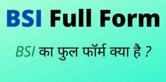 BSI Full Form in Hindi and English – बीएसआई का फुल फॉर्म क्या है ? BSI Full Form in Hindi and English - बीएसआई का फुल फॉर्म क्या है ?