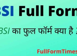 BSI Full Form in Hindi and English – बीएसआई का फुल फॉर्म क्या है ? BSI Full Form in Hindi and English - बीएसआई का फुल फॉर्म क्या है ?