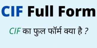 CIF Full Form in Hindi and English – सीआईएफ का फुल फॉर्म क्या है ? CIF Full Form in Hindi and English - सीआईएफ का फुल फॉर्म क्या है ?