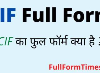 CIF Full Form in Hindi and English – सीआईएफ का फुल फॉर्म क्या है ? CIF Full Form in Hindi and English - सीआईएफ का फुल फॉर्म क्या है ?