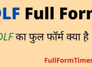 DLF Full Form in Hindi & English – डीएलएफ का फुल फॉर्म क्या होता है ? DLF Full Form in Hindi & English - डीएलएफ का फुल फॉर्म क्या होता है ?