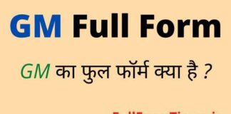 GM Full Form in Hindi and English – जीएम का फुल फॉर्म क्या होता है ? GM Full Form in Hindi and English - जीएम का फुल फॉर्म क्या होता है ?