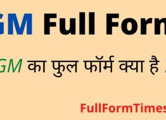 GM Full Form in Hindi and English – जीएम का फुल फॉर्म क्या होता है ? GM Full Form in Hindi and English - जीएम का फुल फॉर्म क्या होता है ?