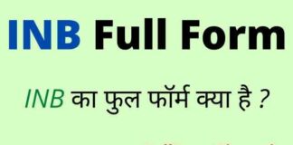 INB Full Form in Hindi / English – आईएनबी का फुल फॉर्म क्या होता है ? INB Full Form in Hindi / English - आईएनबी का फुल फॉर्म क्या होता है ?