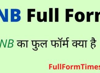 INB Full Form in Hindi / English – आईएनबी का फुल फॉर्म क्या होता है ? INB Full Form in Hindi / English - आईएनबी का फुल फॉर्म क्या होता है ?