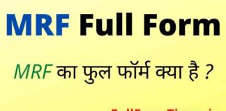 MRF Full Form in Hindi and English – एमआरएफ का फुल फॉर्म क्या है ? MRF Full Form in Hindi and English - एमआरएफ का फुल फॉर्म क्या है ?