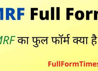 MRF Full Form in Hindi and English – एमआरएफ का फुल फॉर्म क्या है ? MRF Full Form in Hindi and English - एमआरएफ का फुल फॉर्म क्या है ?