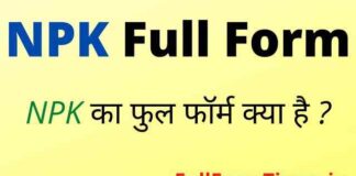 NPK Full Form in Hindi / English – एनपीके का फुल फॉर्म क्या होता है ? NPK Full Form in Hindi / English - एनपीके का फुल फॉर्म क्या होता है ?
