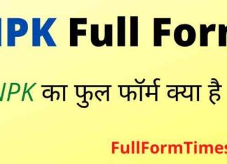 NPK Full Form in Hindi / English – एनपीके का फुल फॉर्म क्या होता है ? NPK Full Form in Hindi / English - एनपीके का फुल फॉर्म क्या होता है ?