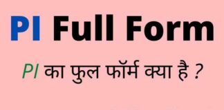 PI Full Form in Hindi and English – पीआई का फुल फॉर्म क्या होता है ? PI Full Form in Hindi and English - पीआई का फुल फॉर्म क्या होता है ?