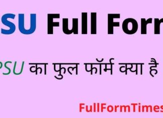 PSU Full Form in Hindi & English – पीएसयू का फुल फॉर्म क्या होता है ? PSU Full Form in Hindi & English - पीएसयू का फुल फॉर्म क्या होता है ?