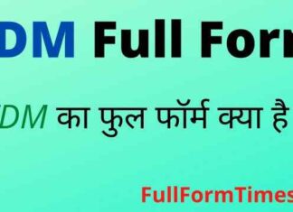 TDM Full Form in Hindi and English – टीडीएम का फुल फॉर्म क्या है ? TDM Full Form in Hindi and English - टीडीएम का फुल फॉर्म क्या है ?