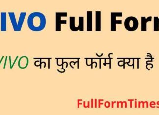 VIVO Full Form in Hindi & English – वीवो का फुल फॉर्म क्या होता है ? VIVO Full Form in Hindi & English - वीवो का फुल फॉर्म क्या होता है ?