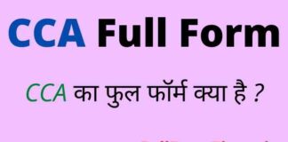 CCA Full Form in Hindi / English – सीसीए का फुल फॉर्म क्या होता है ? CCA Full Form in Hindi / English - सीसीए का फुल फॉर्म क्या होता है ?