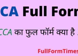 CCA Full Form in Hindi / English – सीसीए का फुल फॉर्म क्या होता है ? CCA Full Form in Hindi / English - सीसीए का फुल फॉर्म क्या होता है ?