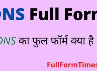 DNS Full Form in Hindi & English – डीएनएस का फुल फॉर्म क्या होता है ? DNS Full Form in Hindi & English - डीएनएस का फुल फॉर्म क्या होता है ?