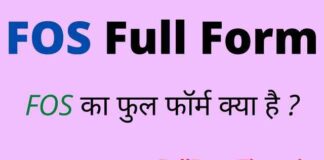 FOS Full Form in Hindi / English – एफओएस का फुल फॉर्म क्या होता है ? FOS Full Form in Hindi / English - एफओएस का फुल फॉर्म क्या होता है ?