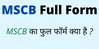 MSCB Full Form in Hindi / English – एमएससीबी का फुल फॉर्म क्या है ? MSCB Full Form in Hindi / English - एमएससीबी का फुल फॉर्म क्या है ?