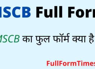 MSCB Full Form in Hindi / English – एमएससीबी का फुल फॉर्म क्या है ? MSCB Full Form in Hindi / English - एमएससीबी का फुल फॉर्म क्या है ?
