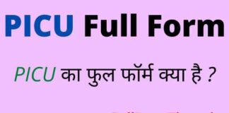PICU Full Form in Hindi and English – पीआईसीयू का फुल फॉर्म क्या है ? PICU Full Form in Hindi and English - पीआईसीयू का फुल फॉर्म क्या है ?